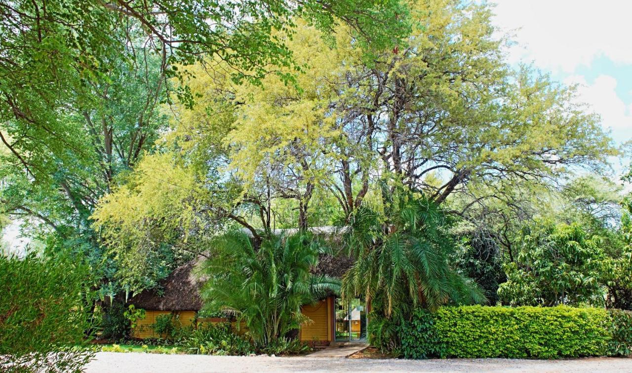 Divundu Guest House ภายนอก รูปภาพ